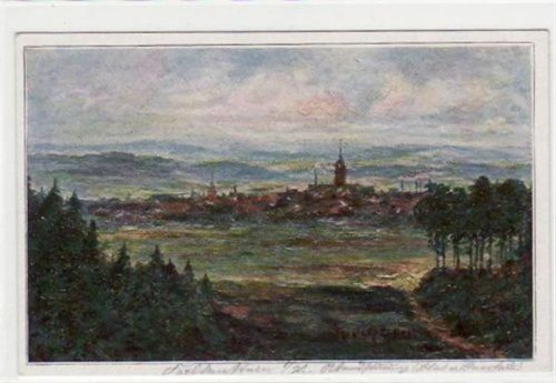 Falkenstein Falkenstein, Künstlerkarte mit Gesamtansicht ungelaufen Gute Erhaltung.