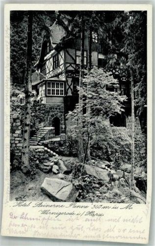 Wernigerode 1934 Hotel Pension Steinerne Renne