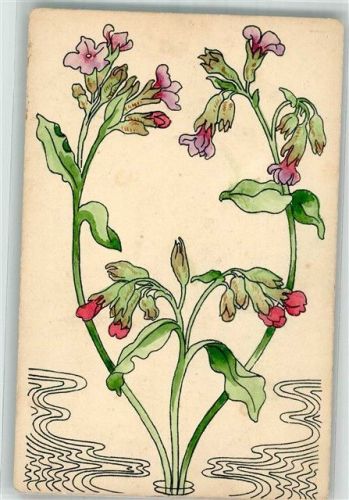 1912 Jugendstil Lungenkraut