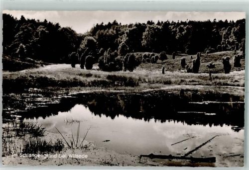 Wilsede Im Schlangengrund Weiher