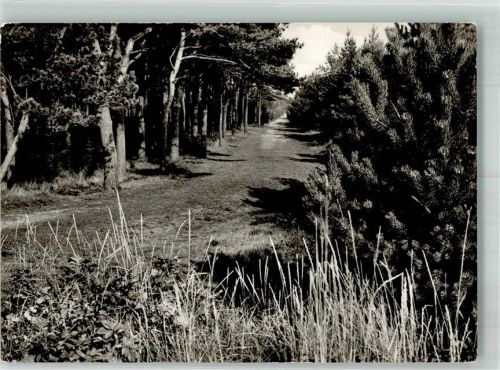 Amrum Weg von der Satteldüne zur Vogelkoje Fotograf Kurt Riehme