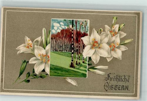 1911 Blumen Birkenhain AK