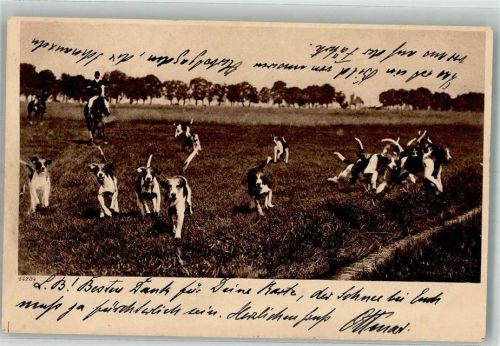 1905 Hundemeute bei einer Fuchsjagd Adelskorrespondenz
