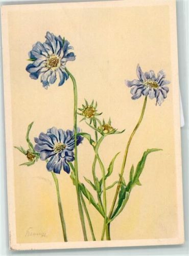 Scabiose sign. H.G. Baass AK