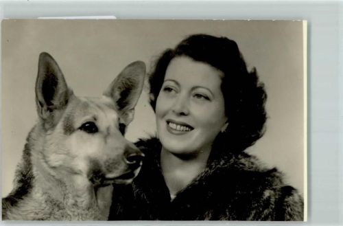 Schäferhund