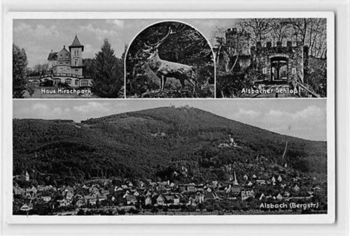 Alsbach an der Bergstraße mit Haus Hirschpark und Alsbacher Schloß ungelaufen Gute Erhaltung.