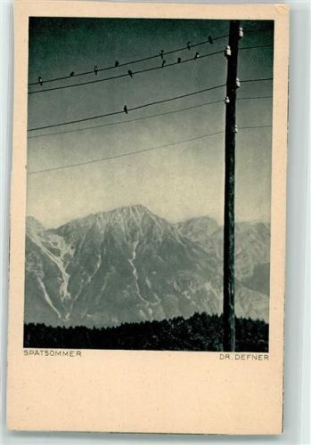 Telegrafenmast mit Vögel AK