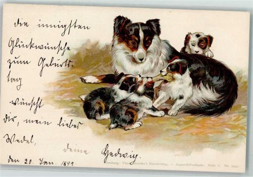 Welpen Stroefer Aquarell Postkarte Serie V AK Collie 1898 Lithographie