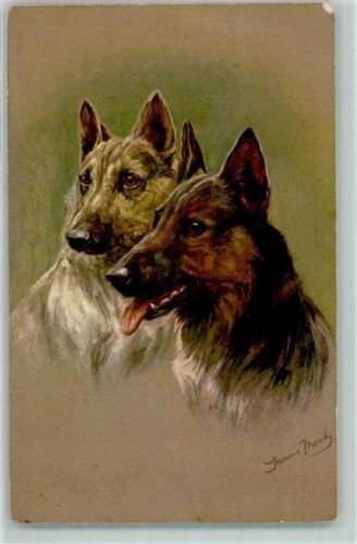Schäferhund