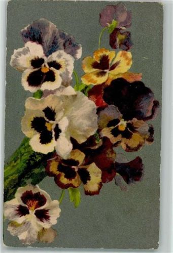 1906 Stiefmütterchen AK