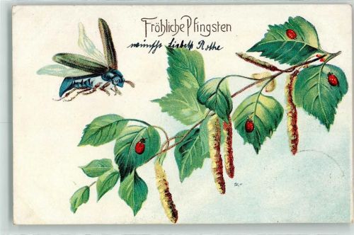1908 Marienkäfer Pfingsten Serie 62 sign.