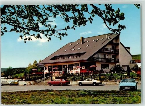Altleiningen Gasthaus Hotel Berghof Auto Terrasse Eis Mercedes