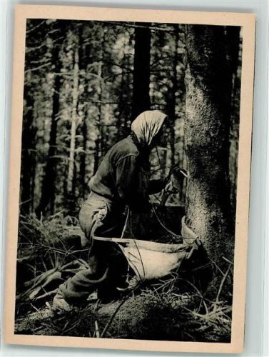Scharrharz Kratzerin - Landwirtschaft Beruf 1952