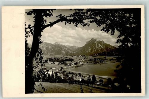Hopfen Ammergauer Alpen