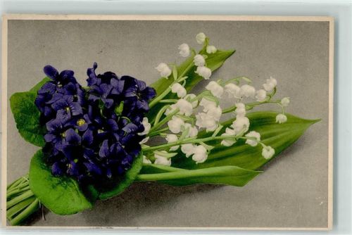 1913 Farbenlichtdruck Martin Rommel