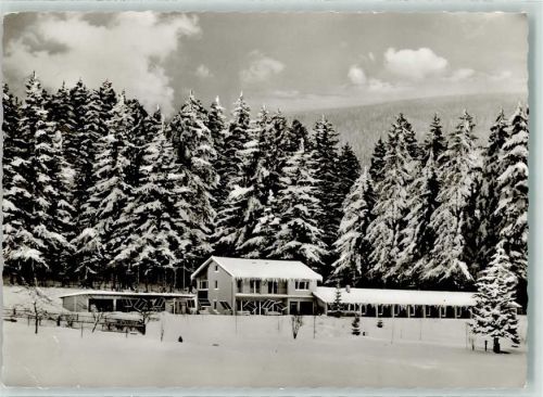 Zwieslerwaldhaus Hotel-Pension Schachten Winter