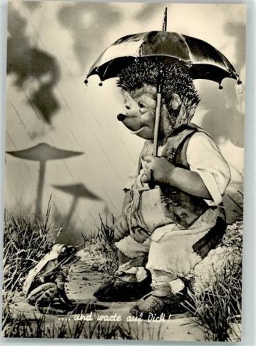 Frosch Regen Regenschirm Pilz 17