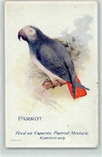 Caperns Bird Food Werbung AK
