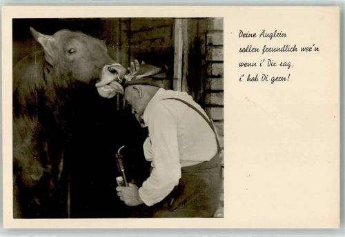 Humor , Bauer mit Pfeife , Kuh leckt die Mütze Verlag Bischofberger Nr. 1868