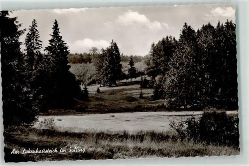 Dassel Lakenhausteich