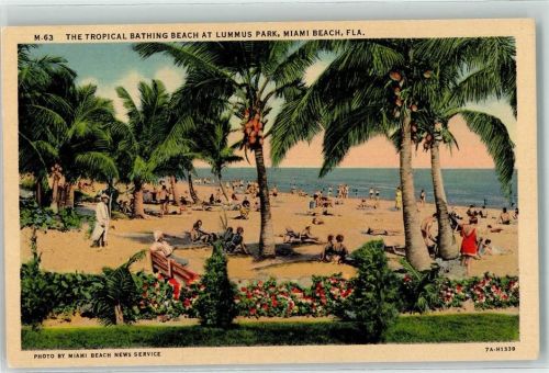 Miami The Tropical Bathing Beach at Lummus Park Strand Palmen