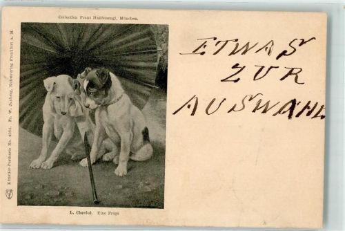 München 1898 Beagle sign. L. Cheviot Collection Franz Hanfstaengl FWJ Nr 4084