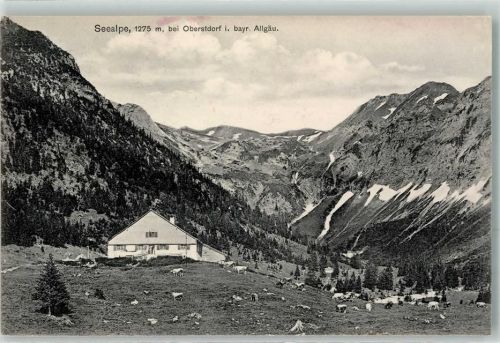 Oberstdorf Gasthaus Seealpe Rinderweide Hüttenstempel