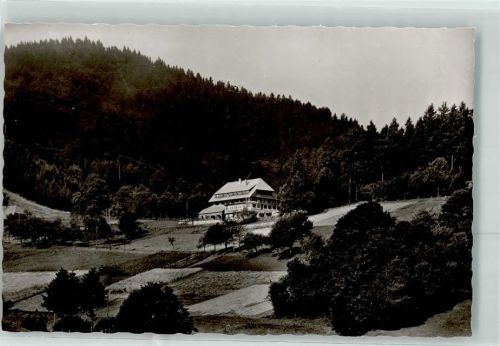 Neuenweg Gasthaus und Pension Haldenhof