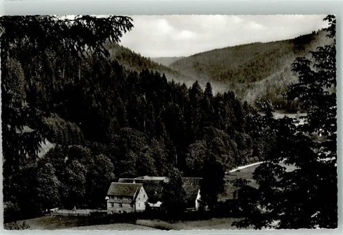Ehlenbogen Gasthaus Mittlere Mühle