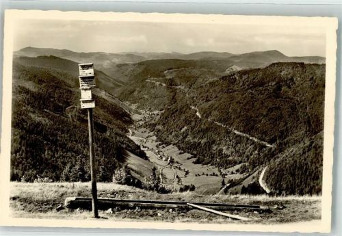 Fahl Blick vom Feldberg ins Wiesental
