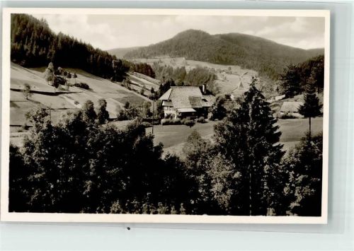 Bad Rippoldsau Schwarzwaldhaus im Rimbachtal Verlag Kurt Görtz Nr. 1977