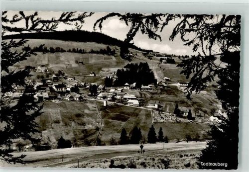Todtnauberg Am Feldberg
