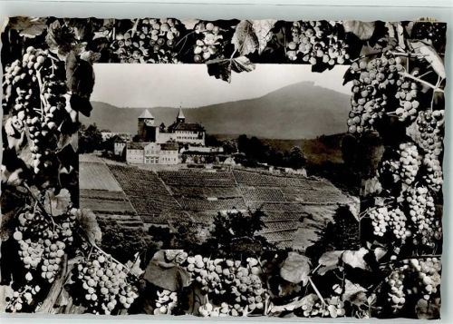 Gernsbach Schloss Eberstein Wein Foto Metz Foto AK