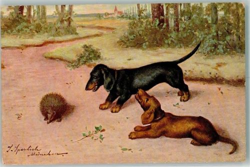 Igel sign. Sperlich S. Verlag Rehn und Linzen Nr.1636