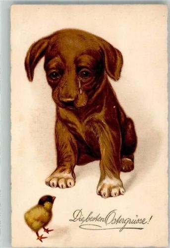 1927 Ostern Ein kleiner weinender Dackel mit einem Küken Tiere vermenschlicht