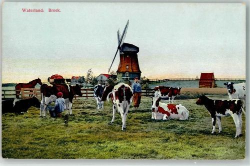 Broek in Waterland Kühe Bauern Photochromie Serie 173 Nr.3052