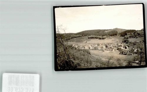 Bad Laasphe Laaspherhütte Foto Original aus Archiv eines Ansichtskartenverlags