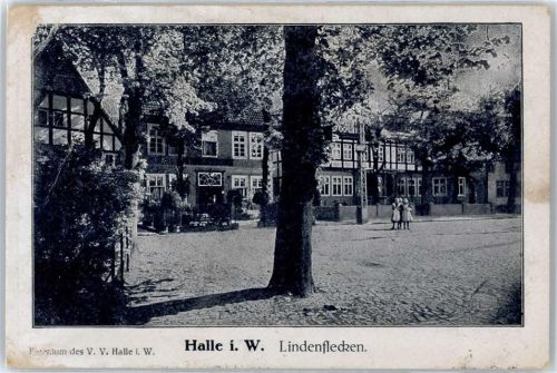 Halle Lindenflecken
