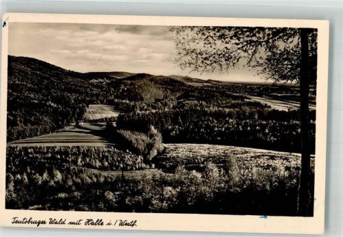 Halle 1952 Teuteborger Wald Notopfermarke Berlin