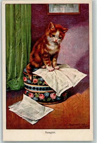 Zeitung Katze Verlag BKW Brüder Kohn Serie 595-2 AK