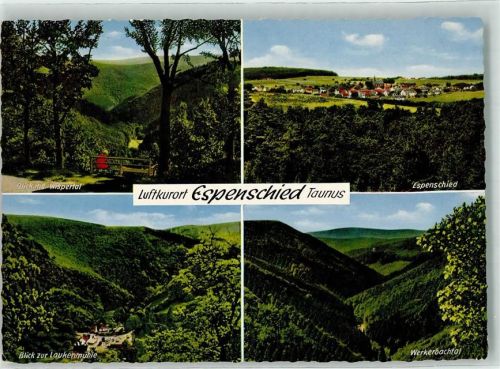 Espenschied Werkerbachtal