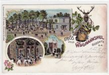 Gößnitz, Lithographie mit Restaurant Waidmannsheil, Winter - Garten und Ruine gelaufen von 1905 kleiner Knick oben rechts, Oxydationsspuren rechter Rand, leichter Stempeldurchdruck, sonst gut erhalten.