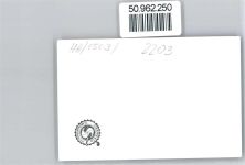 25358 W2203 Horst (Holstein) - Gasthaus Stadt Hamburg