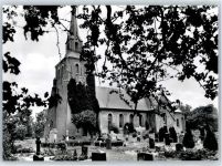 25870 W2251 Oldenswort - Friedhof