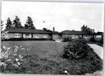 25870 W2251 Oldenswort