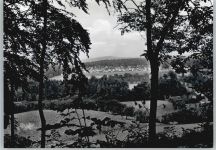 49536 W4543 Lienen , Westf
