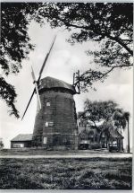 48455 W4444 Gildehaus - Windmühle