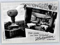 65375 W6227 Hallgarten , Rheingau - Restaurant Winzerhalle , WEin