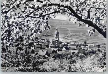 63933 W8761 Mönchberg , Spessart