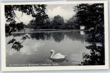 21227 W2106 Bendestorf - Am Mühlenteich, Schwan